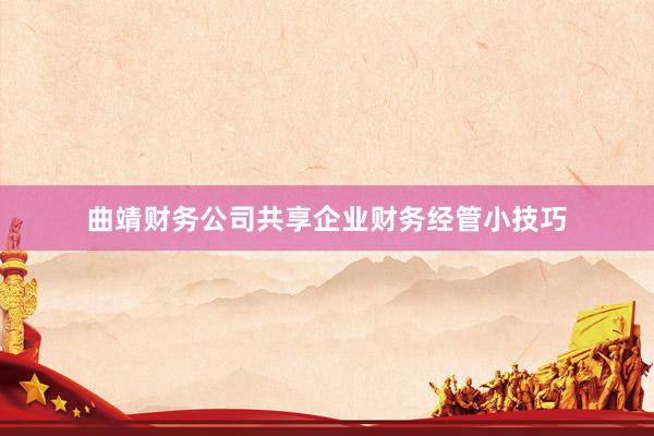 曲靖财务公司共享企业财务经管小技巧