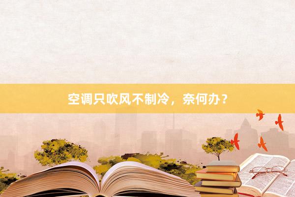 空调只吹风不制冷，奈何办？